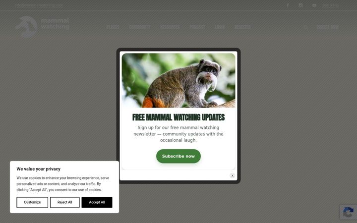 Screenshot of mammalwatching.com