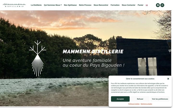 Screenshot of mammenn.com