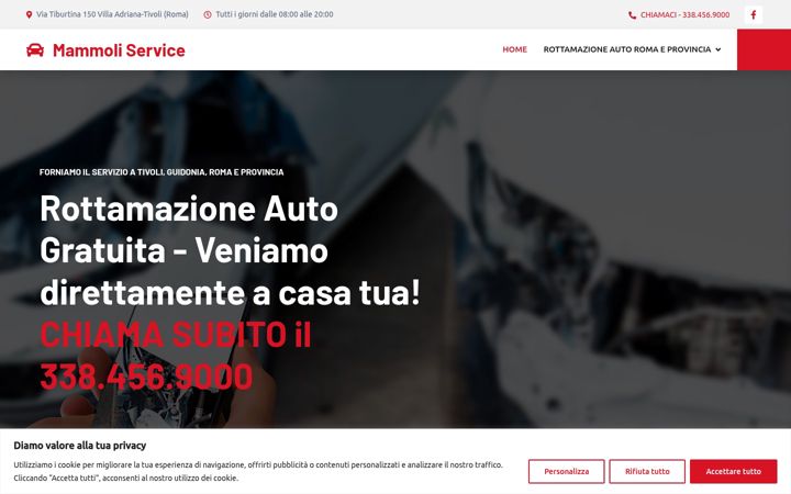 Screenshot of mammoliservice.it