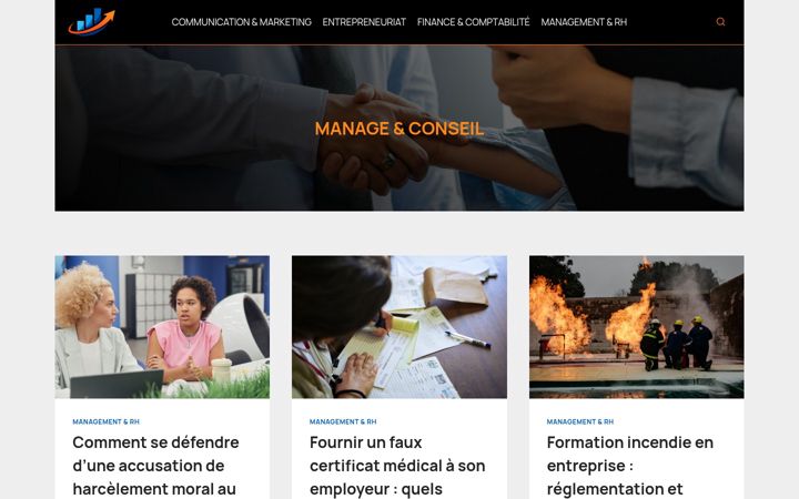 Screenshot of manage-conseil.fr