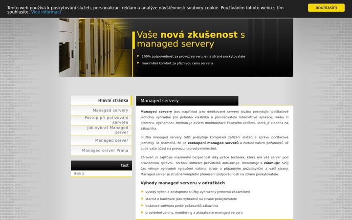 Screenshot of managed-servery.com