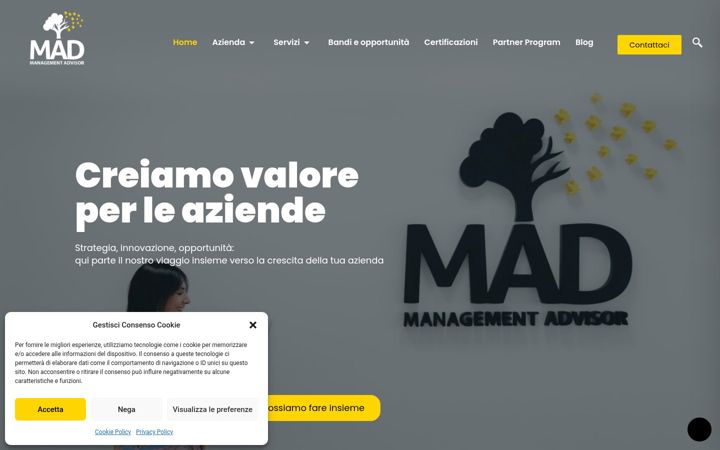Screenshot of management-advisor.eu