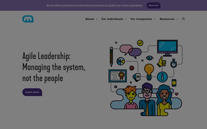 Screenshot of management30.com