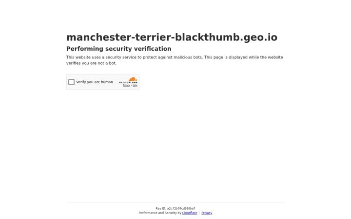 Screenshot of manchester-terrier-blackthumb.de