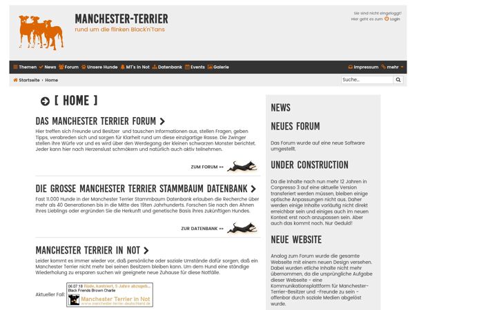 Screenshot of manchester-terrier.de
