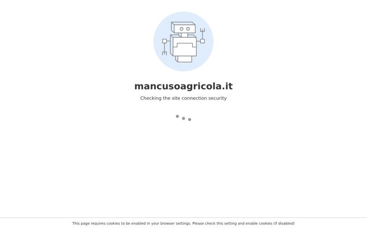 Screenshot of mancusoagricola.it