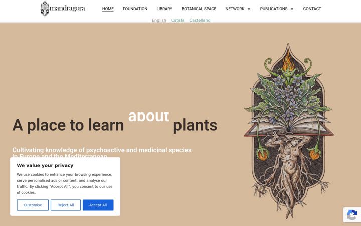 Screenshot of mandragorafoundation.org