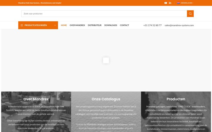 Screenshot of mandrex-system.com