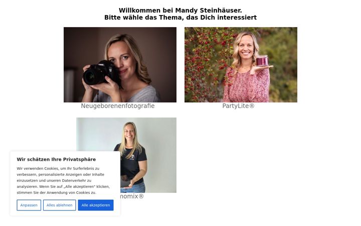 Screenshot of mandysteinhaeuser.de