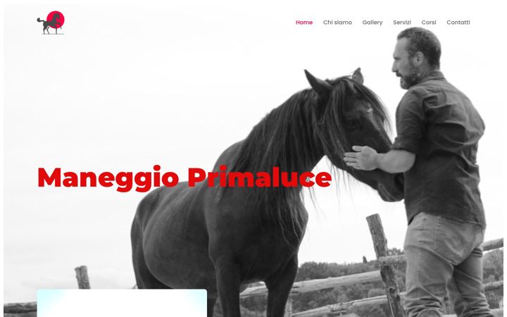 Screenshot of maneggioprimaluce.it