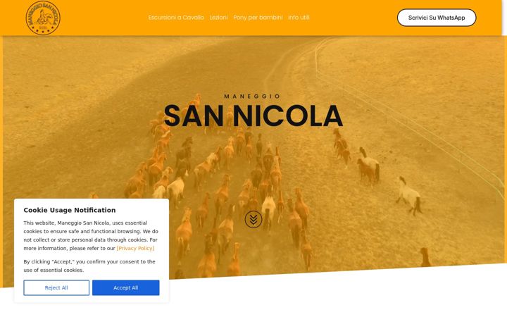 Screenshot of maneggiosannicola.com