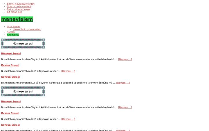 Screenshot of manevialem.com