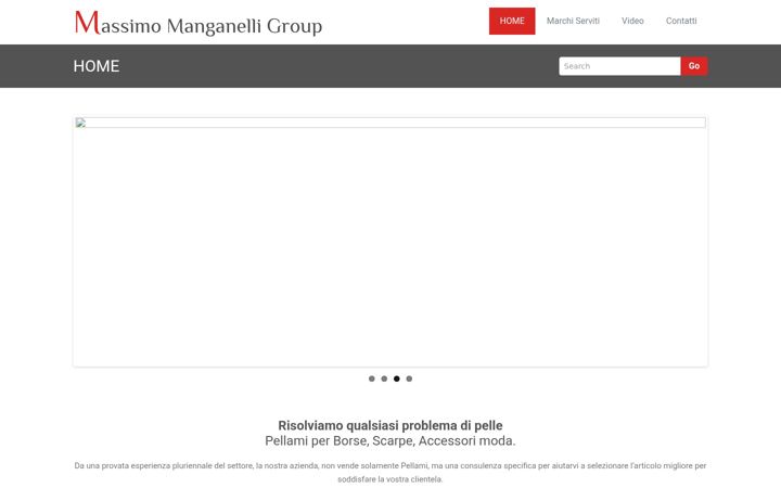 Screenshot of manganelligroup.it