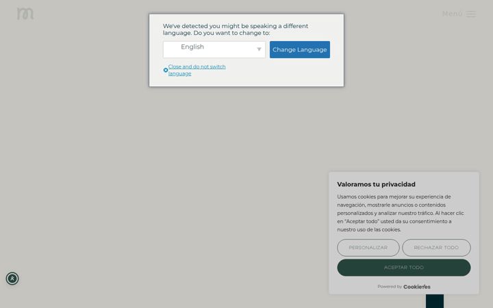 Screenshot of manistudio.es
