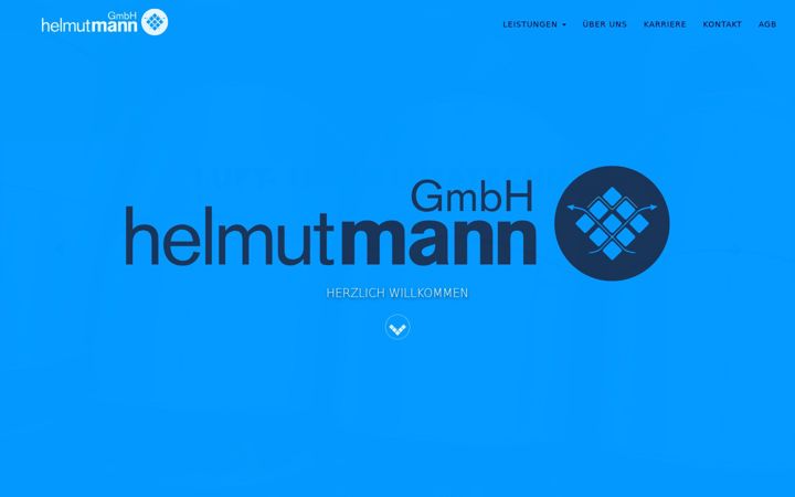 Screenshot of mann-gmbh.de