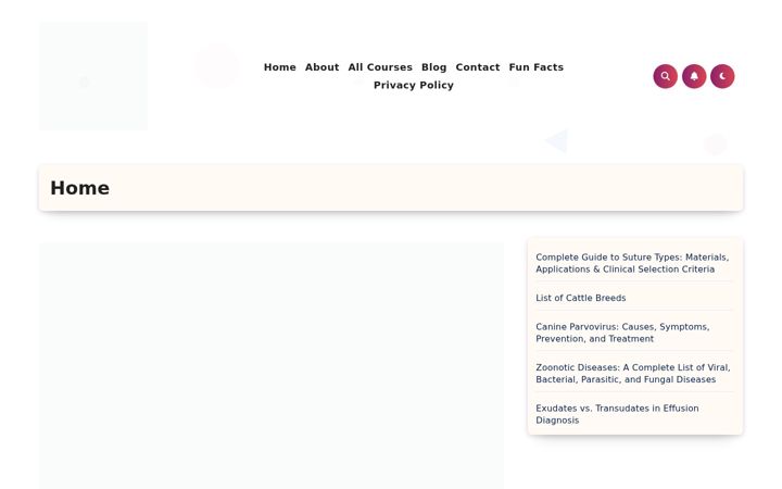 Screenshot of mannvetcorner.com