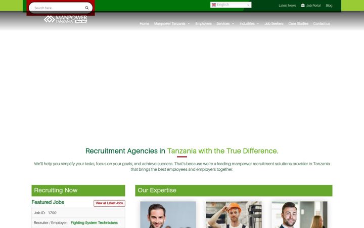 Skjámynd af manpowertanzania.com