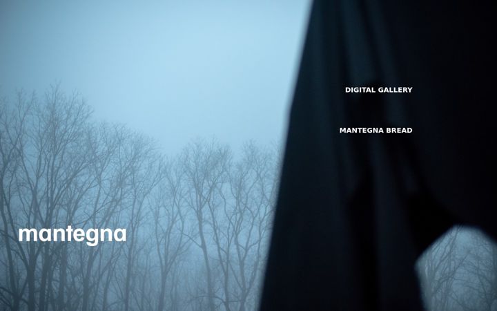 Screenshot of mantegna.org