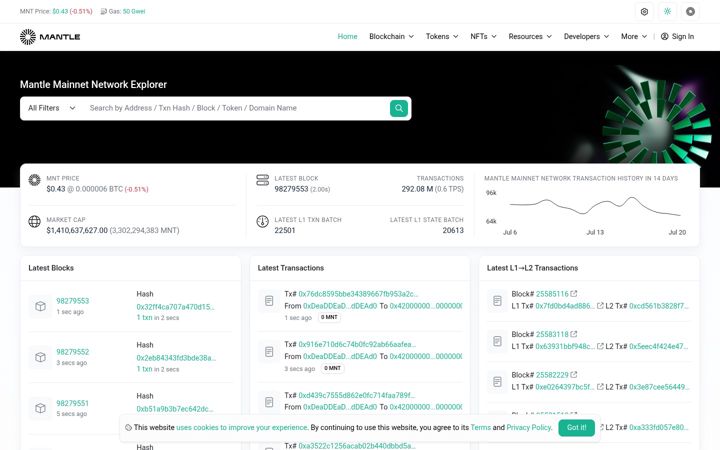 Screenshot of mantlescan.xyz