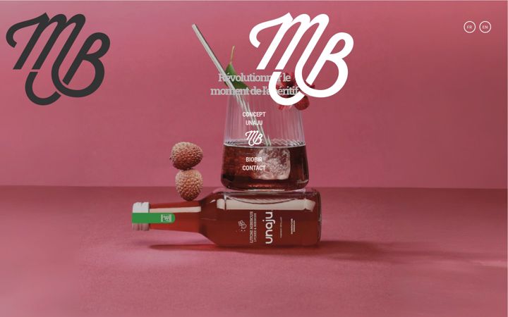 Screenshot of manufacturebordeaux.com