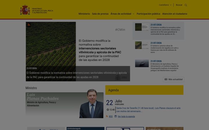 Screenshot of mapa.es