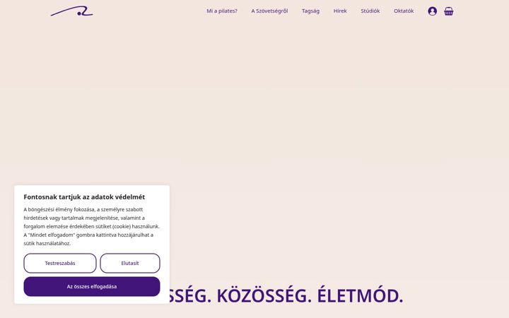 Screenshot of mapisz.hu