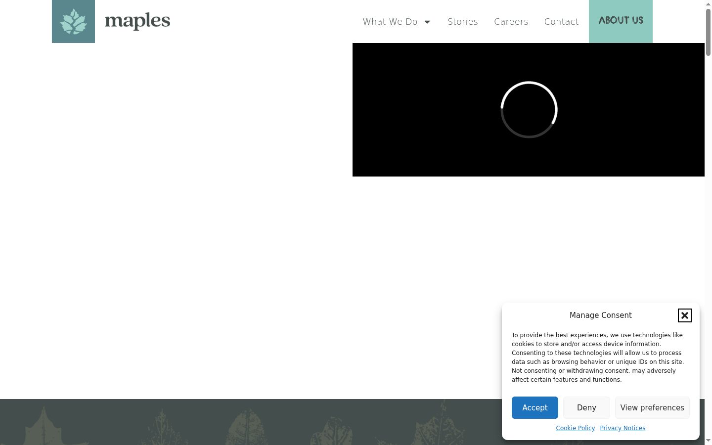 Screenshot του banner συγκατάθεσης που εμφανίστηκε πριν από οποιαδήποτε αλληλεπίδραση