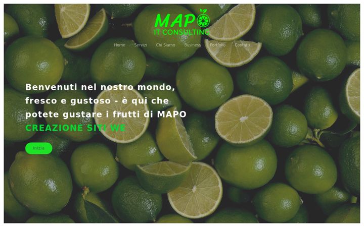Screenshot of mapoconsulting.it
