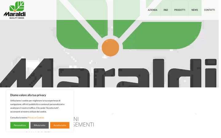Screenshot of maraldisementi.com