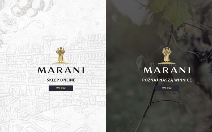 Screenshot of marani.com.pl