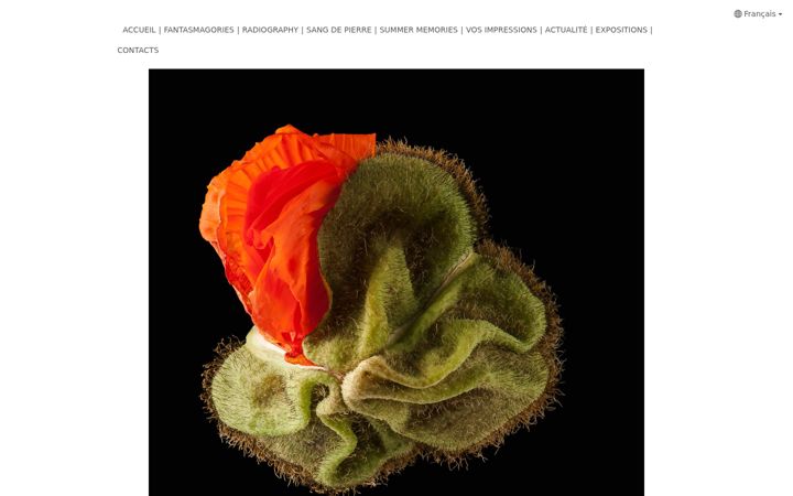 Screenshot of marc-chatelard.com