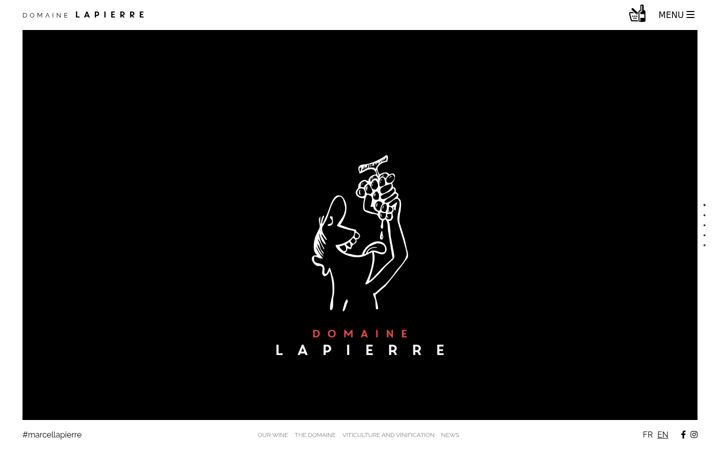 Screenshot of marcel-lapierre.com
