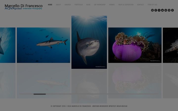Screenshot of marcellodifrancesco.com