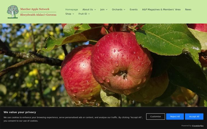 Screenshot of marcherapple.net