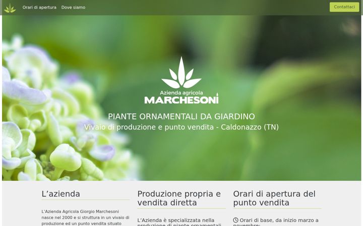 Screenshot of marchesonipiante.it