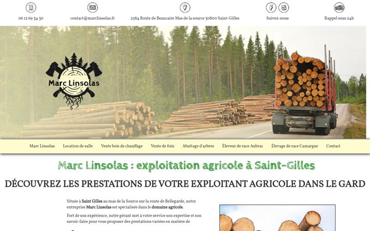 Screenshot of marclinsolas.fr