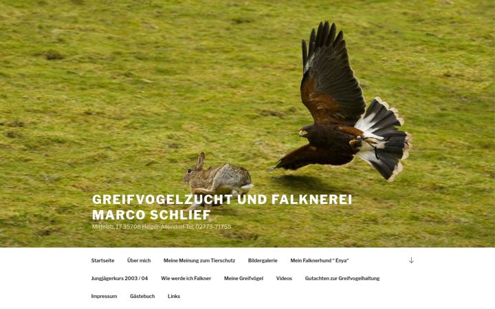 Screenshot of marco-schlief.de