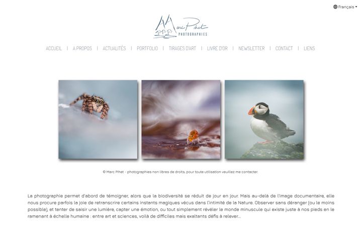 Screenshot of marcpihet.com