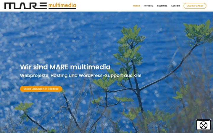 Screenshot of mare-multimedia.com