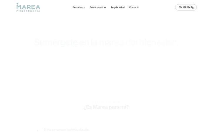 mareafisioterapia.es