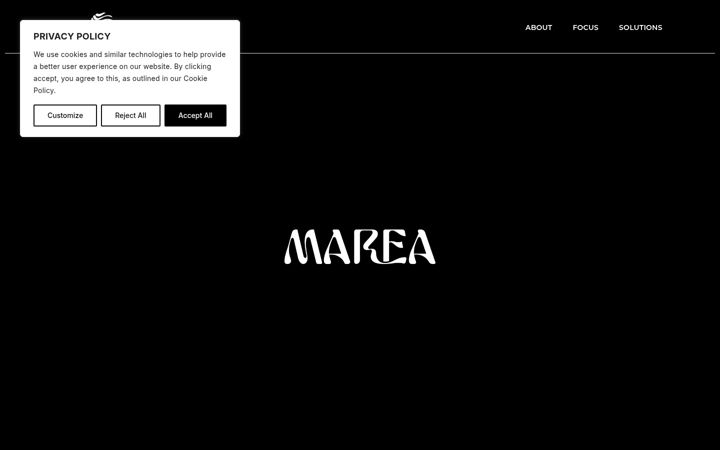 Screenshot of mareaiceland.com