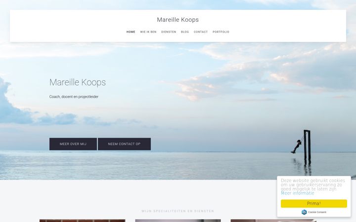 Screenshot of mareillekoops.nl