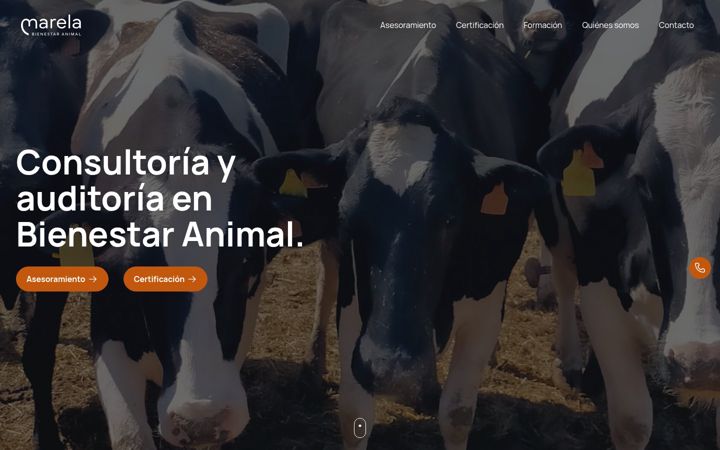 Screenshot of marelabienestaranimal.es