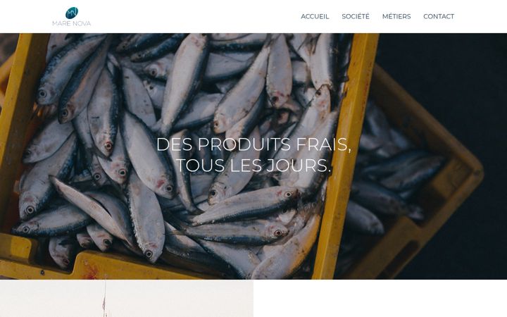 Screenshot of marenova.eu