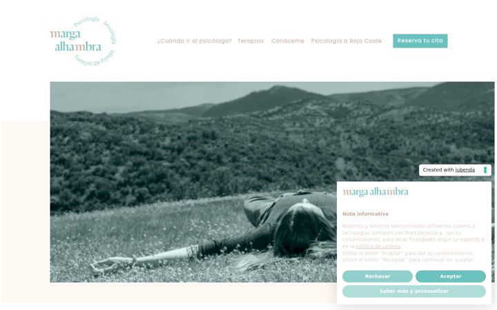 Screenshot of margaalhambrapsicologia.com