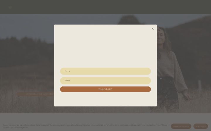 Screenshot of mariaanderson.dk