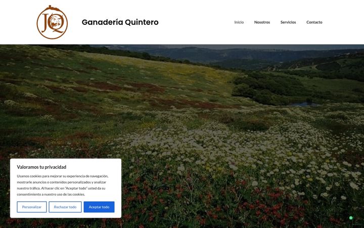Screenshot of mariaangelesveratrujillo.es