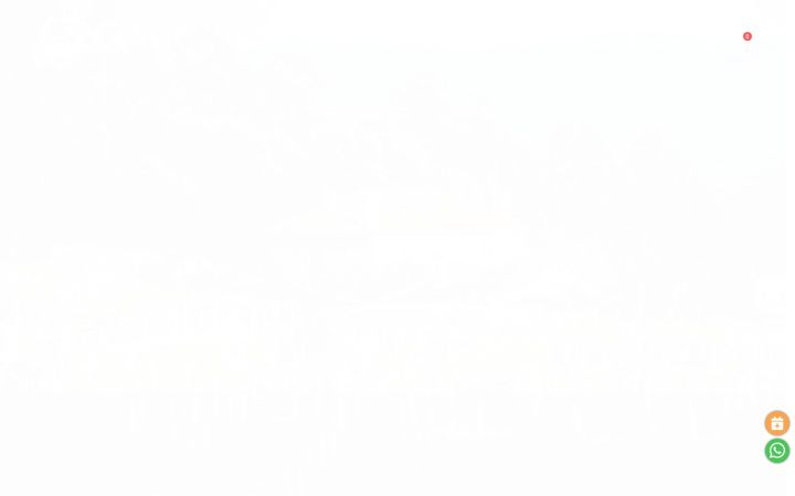 Screenshot of mariabargiela.com