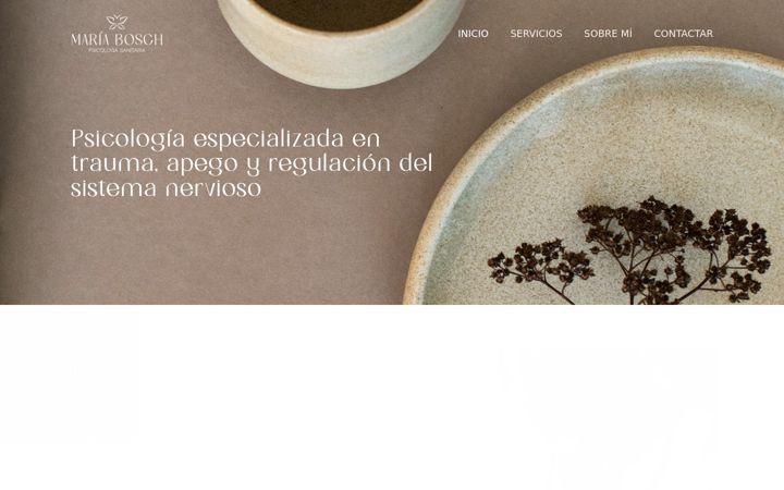 Screenshot of mariaboschpsicologa.com