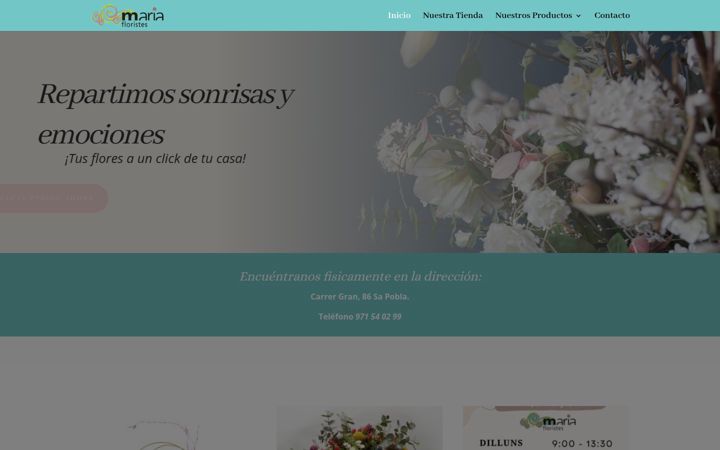 Screenshot of mariafloristes.com